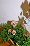 Flower bear with nr 103